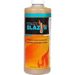 VITALIZE Blazin - Horse Heat Stress & Exertion Recovery - Promotes Hydration & Water Retention (32 fl oz)