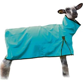 ويفر ليذر in Kuwait