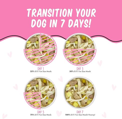 Weruva Best Fido Friend Fun Size Meals, Natural Wet Dog Food, We Be Jammin, 2.75oz Cup (Pack of 12) in Kuwait