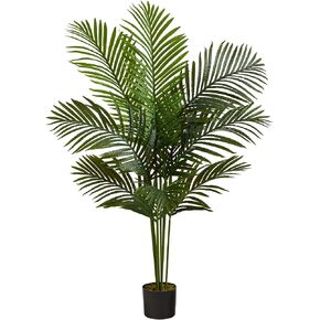 Nearly Natural 5260 Paradise Artificial Palm Tree, 5.5-Feet, Green,72" x 9" x 9"