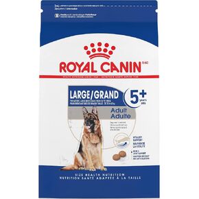 Royal Canin Large Breed Adult Dry Dog Food, 6 lb. bag in Kuwait