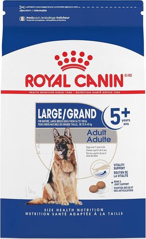Royal Canin Large Breed Adult Dry Dog Food, 6 lb. bag in Kuwait