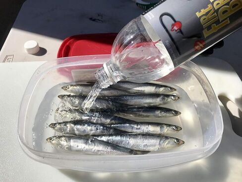 PAUTZKE'S Fishing Attractant Bait Fire Brine in Kuwait