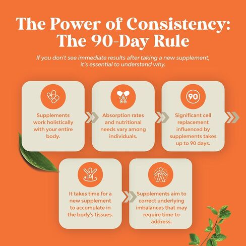 Potent Daily Multivitamin Gummies for Adults - Wellness Blend of Vitamin D A C E B12 Zinc and Biotin - Adult Vitamin Gummy for Energy and Immunity - Non-GMO Gluten Free and Halal - 180 Gummies in Kuwait