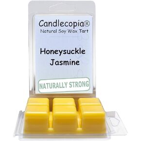 Candlecopia Vetiver & Nutmeg Strongly Scented Hand Poured Vegan Wax Melts, 12 Scented Wax Cubes, 6.4 Ounces in 2 x 6-Packs
