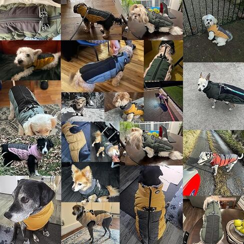 Gyuzh Dog Coat Jacket Vest Clothes Dog Harness Coat Reflective Adjustable Dog Jackets Dog Clothes Winter Waterproof Dog Coats for Small Medium Large Dogs (X-Small, Blue) in Kuwait