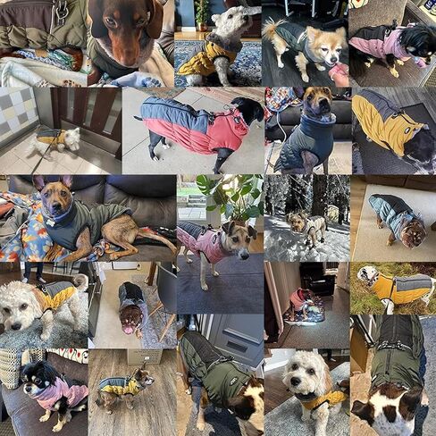 Gyuzh Dog Coat Jacket Vest Clothes Dog Harness Coat Reflective Adjustable Dog Jackets Dog Clothes Winter Waterproof Dog Coats for Small Medium Large Dogs (X-Small, Blue) in Kuwait