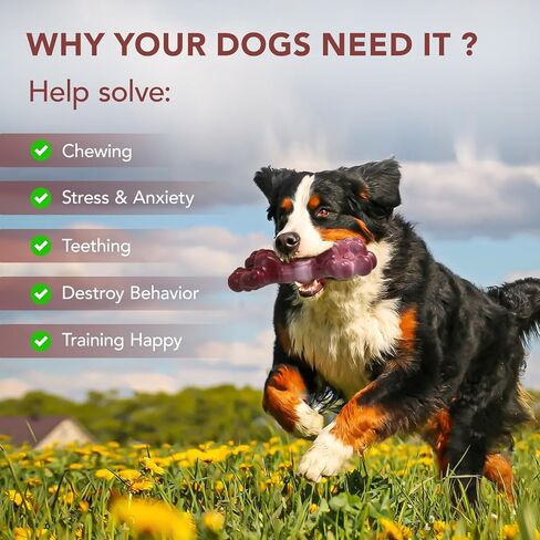 Indestructible Dog Chew Toy for Aggressive Chewers, Extreme Tough Nylon Dog Chew Toys for Large Dogs, Durable Dog Bone Toy for Medium/Large Breeds, Teething & Keep Dog Busy in Saudi Arabia
