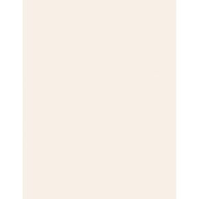 LUXPaper 8.5" x 11" Cardstock | Letter Size | Natural Linen | 100lb. Cover (183lb. Text) | 250 Qty