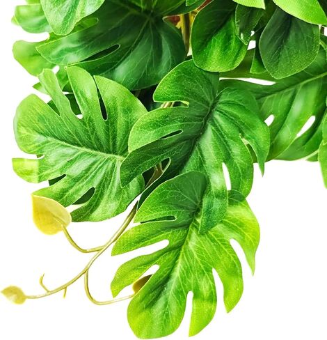 Woyrise Reptile Plants, Terrarium Hanging Plants Vines for Reptile Tank, Amphibian Habitat Leaves Decorations with Suction Cup for Bearded Dragon Lizard Snake Gecko Frog Hermit Crab - 2 Pack Red Ivy in Kuwait