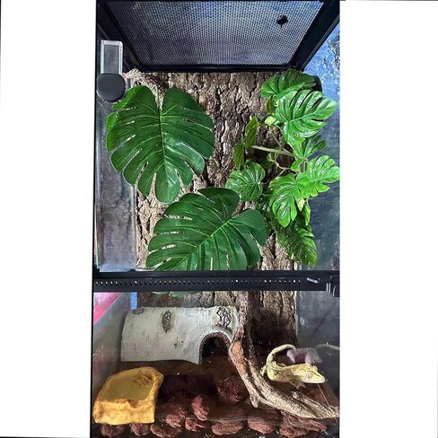 Woyrise Reptile Plants, Terrarium Hanging Plants Vines for Reptile Tank, Amphibian Habitat Leaves Decorations with Suction Cup for Bearded Dragon Lizard Snake Gecko Frog Hermit Crab - 2 Pack Red Ivy in Kuwait