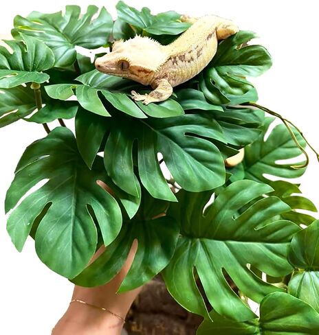 Woyrise Reptile Plants, Terrarium Hanging Plants Vines for Reptile Tank, Amphibian Habitat Leaves Decorations with Suction Cup for Bearded Dragon Lizard Snake Gecko Frog Hermit Crab - 2 Pack Red Ivy in Kuwait