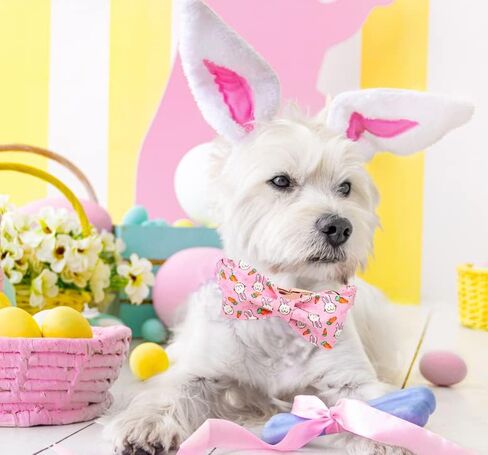 Unique style paws Easter Dog Collar with Bow Colorful Egg Pet Collar Best Gift for Small Medium Large Boys Girls-XL in Kuwait