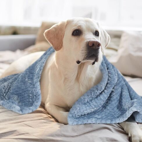 8 Pieces Dog Blanket, Soft Fuzzy Blankets for Puppy Fluffy Fleece Dog Blanket, Plush Fleece Throw for Dog Cat Bed, Guinea Pig Fleece Cage Liners, Couch, Sofa, Travel Warm Covers (24 x 32 Inch) in Saudi Arabia