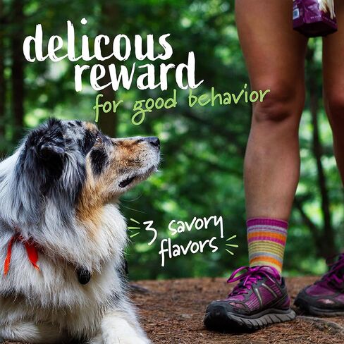 طعام فائق الجودة للكلاب من بت ناتشورالز مع التوت واللفت - بدون ذرة أو قمح أو مكونات صناعية - نكهة زبدة الفول السوداني، 100 قطعة مضغ (عبوة من قطعتين) in Kuwait