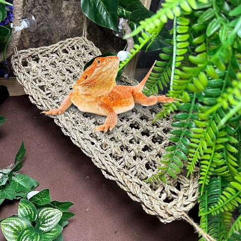 Bearded Dragon Hammock Reptile Jungle Vines Flexible Reptile Leaves with Suction Cups for Climbing Branches Habitat Terrariums Decoration Accessories Chameleon Lizards Gecko Frogs Snakes(7PCS) in Saudi Arabia
