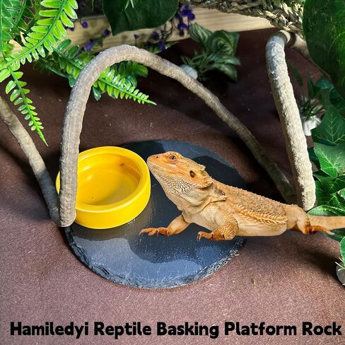 Bearded Dragon Hammock Reptile Jungle Vines Flexible Reptile Leaves with Suction Cups for Climbing Branches Habitat Terrariums Decoration Accessories Chameleon Lizards Gecko Frogs Snakes(7PCS) in Saudi Arabia