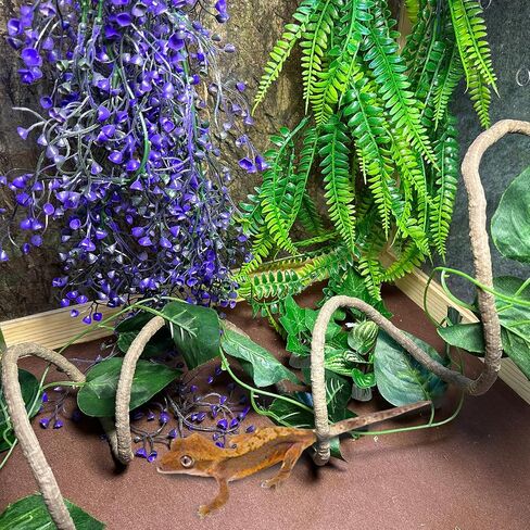 Bearded Dragon Hammock Reptile Jungle Vines Flexible Reptile Leaves with Suction Cups for Climbing Branches Habitat Terrariums Decoration Accessories Chameleon Lizards Gecko Frogs Snakes(7PCS) in Saudi Arabia