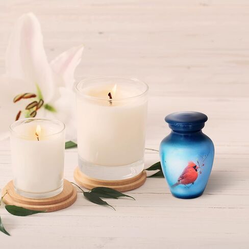 سمارا جرة تذكارية صغيرة مع حافظة مخملية | اختر من بين الالوان الفريدة | رمز معدني صغير لمشاركة الرماد البشري او الحيوانات الاليفة. (الطائر الطنان (ابيض) تذكار) (SN16112102) in Kuwait