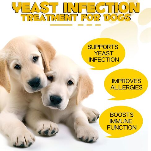 Yeast Infection Treatment for Dogs, Natural Yeast Infection Treatment Supports Dog Itch Relief, Dog Ear Infection, Dog Allergy Relief, Pet Supplies Dog Herbal Supplement, Bacon Flavor - 2 oz in Saudi Arabia
