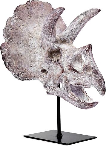 Ptosziav Dinosaur Skull T-Rex Bones Resin Craft Statue for Home Office Shelf Decor Lifelike Tyrannosaur Head Sculpture Figurine Gifts Reptile Hide House Shelter Cave in Kuwait