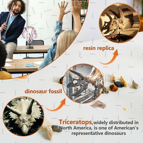 Ptosziav Dinosaur Skull T-Rex Bones Resin Craft Statue for Home Office Shelf Decor Lifelike Tyrannosaur Head Sculpture Figurine Gifts Reptile Hide House Shelter Cave in Kuwait