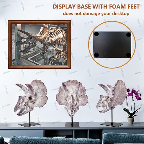 Ptosziav Dinosaur Skull T-Rex Bones Resin Craft Statue for Home Office Shelf Decor Lifelike Tyrannosaur Head Sculpture Figurine Gifts Reptile Hide House Shelter Cave in Kuwait