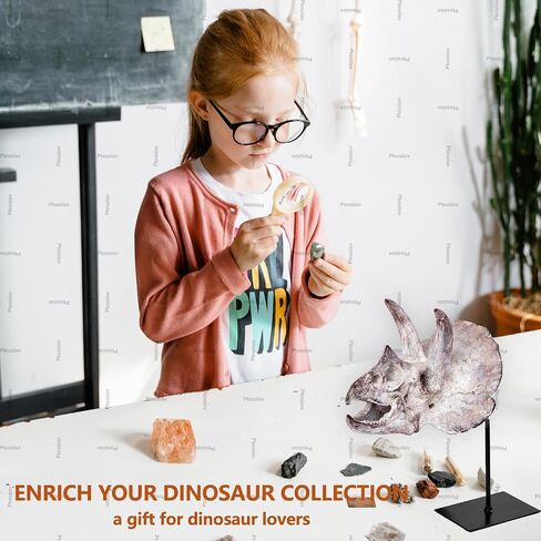Ptosziav Dinosaur Skull T-Rex Bones Resin Craft Statue for Home Office Shelf Decor Lifelike Tyrannosaur Head Sculpture Figurine Gifts Reptile Hide House Shelter Cave in Kuwait