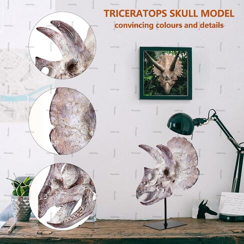 Ptosziav Dinosaur Skull T-Rex Bones Resin Craft Statue for Home Office Shelf Decor Lifelike Tyrannosaur Head Sculpture Figurine Gifts Reptile Hide House Shelter Cave in Kuwait