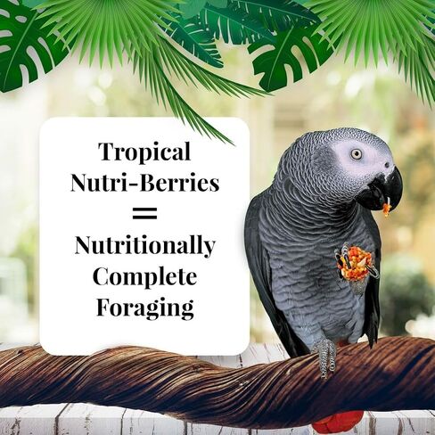 LAFEBER'S Tropical Fruit Nutri-Berries Pet Bird Food, Made with Non-GMO and Human-Grade Ingredients, for Macaws and Cockatoos, 3 lb in Kuwait