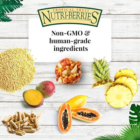 LAFEBER'S Tropical Fruit Nutri-Berries Pet Bird Food, Made with Non-GMO and Human-Grade Ingredients, for Macaws and Cockatoos, 3 lb in Kuwait