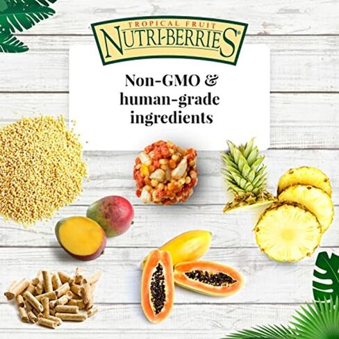 LAFEBER'S Tropical Fruit Nutri-Berries Pet Bird Food, Made with Non-GMO and Human-Grade Ingredients, for Macaws and Cockatoos, 3 lb in Kuwait