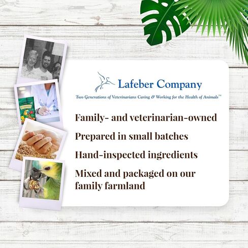 LAFEBER'S Tropical Fruit Nutri-Berries Pet Bird Food, Made with Non-GMO and Human-Grade Ingredients, for Macaws and Cockatoos, 3 lb in Kuwait