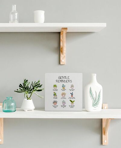 لافتة صندوق خشبي من كونليزا للصحة العقلية بعبارة What Plants Teach Us بنمط اسباني بوعاء لديكور المكتب، لافتة صندوق خشبي ريفي للعلاج والمكتب والمدرسة والإرشاد والمكتب والحائط والرف وسطح الطاولة in Kuwait