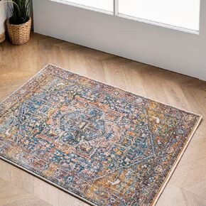nuLOOM Harriet Vintage Medallion Fringe Accent Rug, 2' x 3', Rust, Rectangular, 0.4" Thick