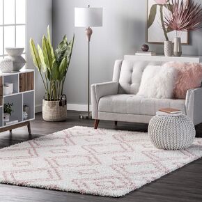nuLOOM Iola Geometric Shag Accent Rug, 3x5, White
