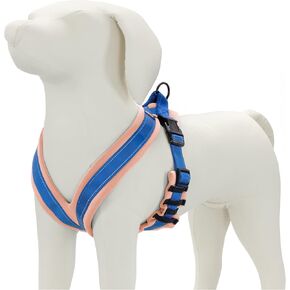 Good Scout Heavy Duty Padded Dog Vest Harness, Durable Dog Body Harness for Walking & Training, Blue/Sky, Large