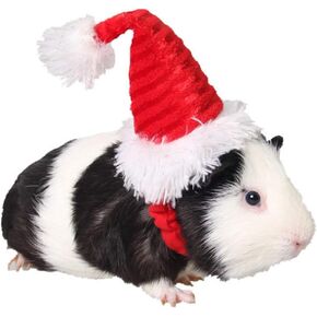 ANIAC Adjustable 3D Christmas Dog Santa Hat for Medium to Large Dogs Pet Dog Santa Costume