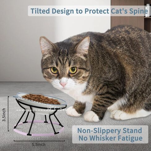 Cat Bowls for Indoor Cats, Elevated Cat Bowl with Metal Stand Raised Ceramic Cat Dish Whisker Friendly Pet Water or Food Feeding Cats, Kitten, Puppies and Small Dogs Dishwasher Safe, Cat Face in Kuwait