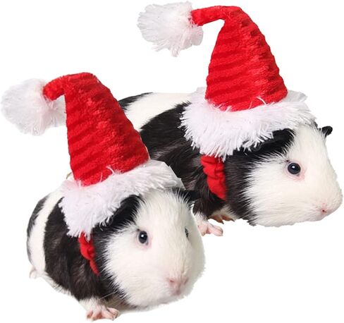 ANIAC Adjustable 3D Christmas Dog Santa Hat for Medium to Large Dogs Pet Dog Santa Costume in Saudi Arabia