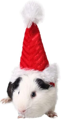 ANIAC Adjustable 3D Christmas Dog Santa Hat for Medium to Large Dogs Pet Dog Santa Costume in Saudi Arabia