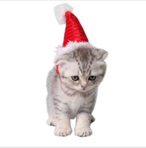 ANIAC Adjustable 3D Christmas Dog Santa Hat for Medium to Large Dogs Pet Dog Santa Costume in Saudi Arabia