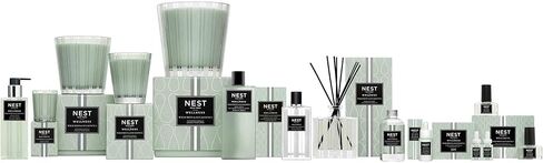 NEST Fragrances Himalayan Salt & Rosewater Reed Diffuser Liquid Refill, 5.90 Fl Oz (Pack of 1) in Saudi Arabia