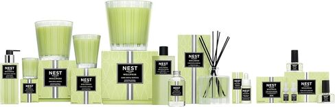NEST Fragrances Himalayan Salt & Rosewater Reed Diffuser Liquid Refill, 5.90 Fl Oz (Pack of 1) in Saudi Arabia