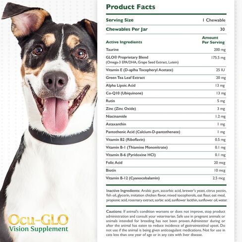 Ocu-GLO Cat & Dog Supplement for Eye Support - Chewable Vision Vitamins Supplements for Large and Small Pets Care with Lutein, Omega-3 Fatty Acids, Grape Seed Extract & Antioxidants (Pack of 2) in Saudi Arabia