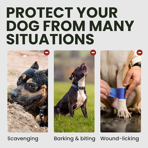 BRONZEDOG المعادن كمامة سلك سلة الكلب الدانماركي العظيم كلب الدرواس سانت برنارد قناع مع الأشرطة الجلدية كمامات للكلاب الكبيرة جدا (XL) in Kuwait