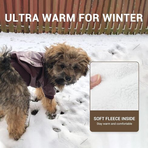 LESYPET Warm Dog Jacket Winter Dog Coats Windproof Waterproof Fleece Lined Dog Leather Jackets for Small Dogs Puppy, Black Small in Saudi Arabia