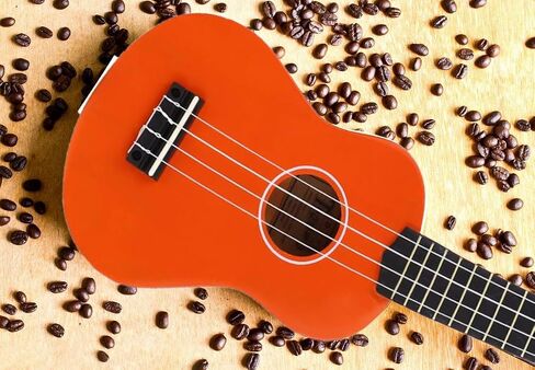 Trendy Soprano Ukulele for Beginners 21 Inch Hawaiian Ukelele for Adult Student with Gig Bag (Brown) in Saudi Arabia