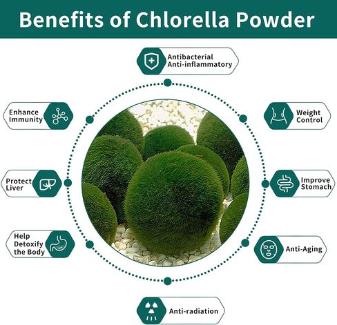 Chlorella Powder Natural- Chlorophyll Powder, Supports Immune System & Liver Function, Keep Youth, Vegan, Rich in Vegan Protein and Vitamins, 8 oz. in Saudi Arabia