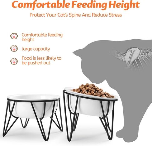 Kitwinney Ceramic Elevated Cat Bowls - Raised Cat Food Bowls Whisker Friendly, Anti-Vomiting Cat Food Plate, Elevated Cat Dish for Indoor Cats - Stylish, Safe and Hygienic Cat Food Bowl Set（2 Pack） in Saudi Arabia